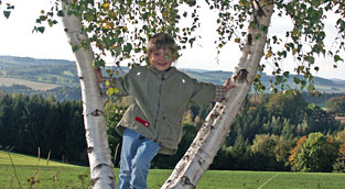 Kind auf Birkenbaum
